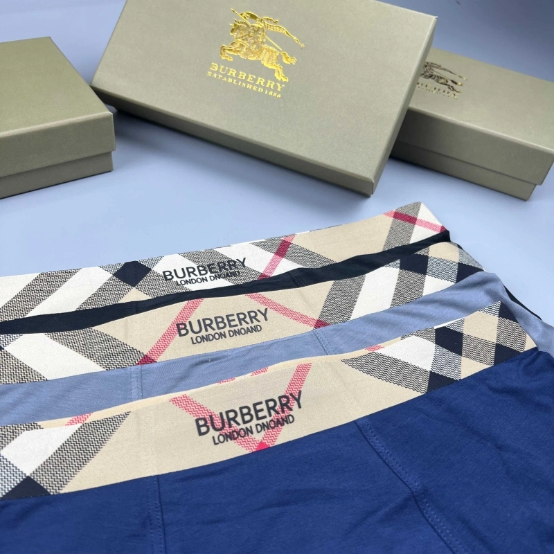 Burberry Underwear FashionForward 276679