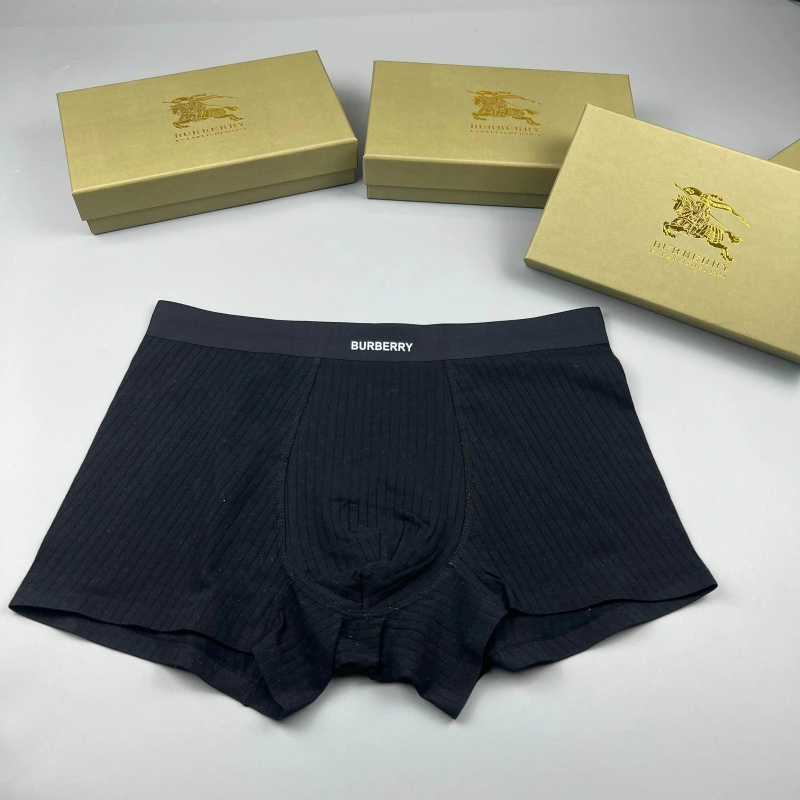 Burberry Underwear Tailored 276693