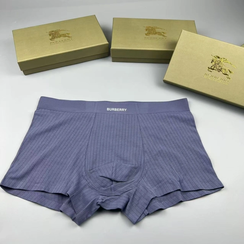 Burberry Underwear Tailored 276693