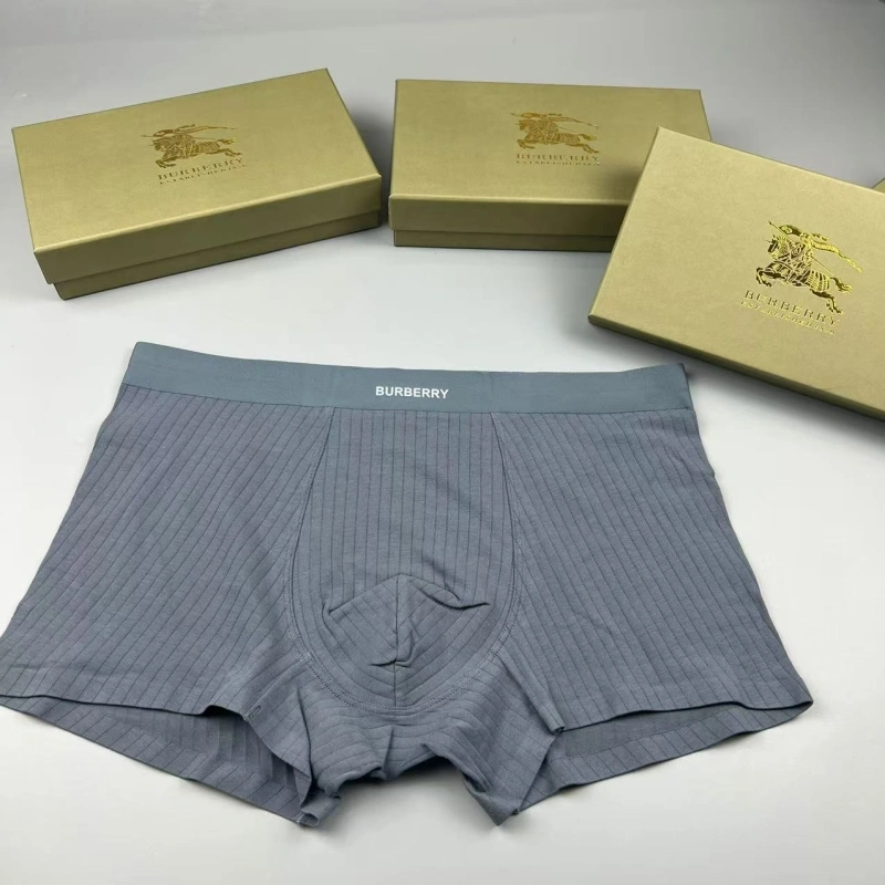 Burberry Underwear Tailored 276693