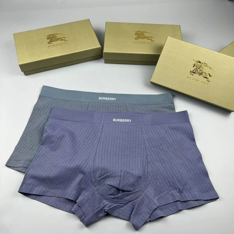 Burberry Underwear Tailored 276693
