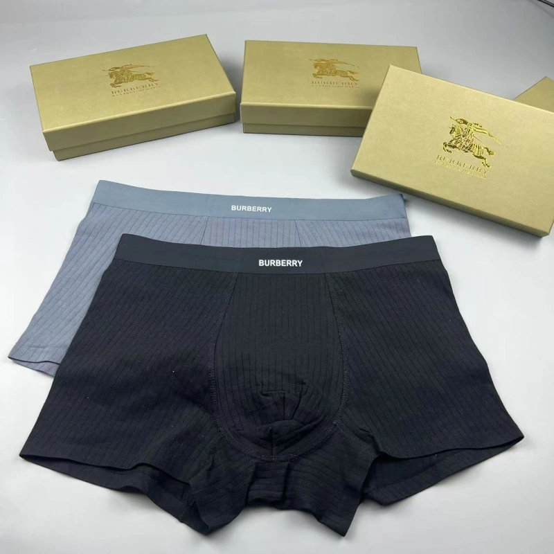Burberry Underwear Tailored 276693