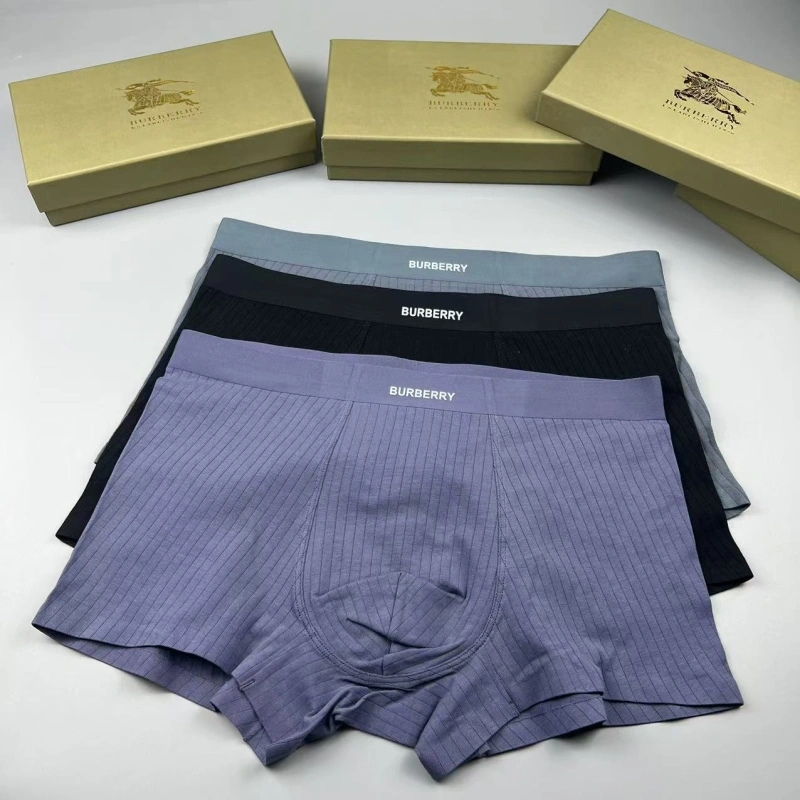 Burberry Underwear Tailored 276693