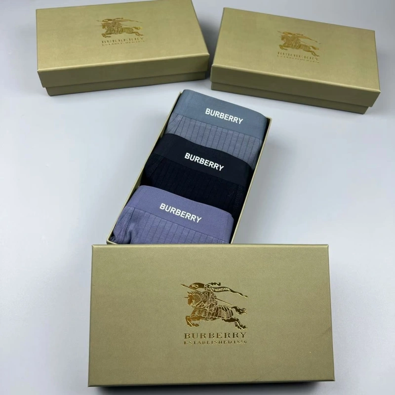 Burberry Underwear Tailored 276693