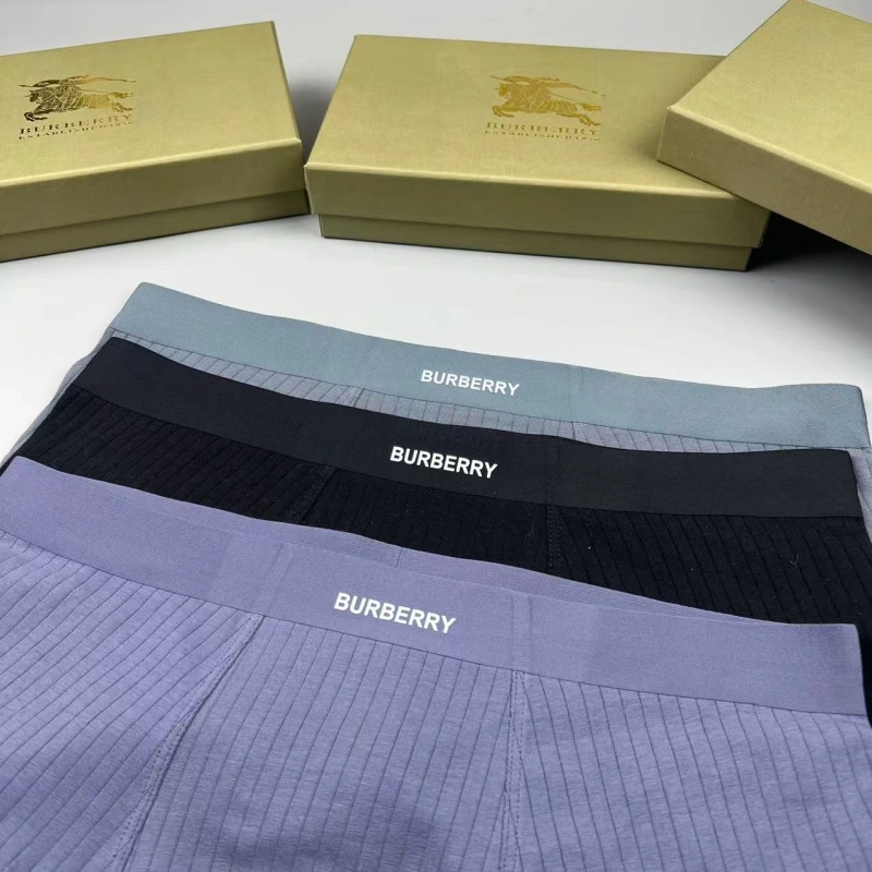 Burberry Underwear Tailored 276693