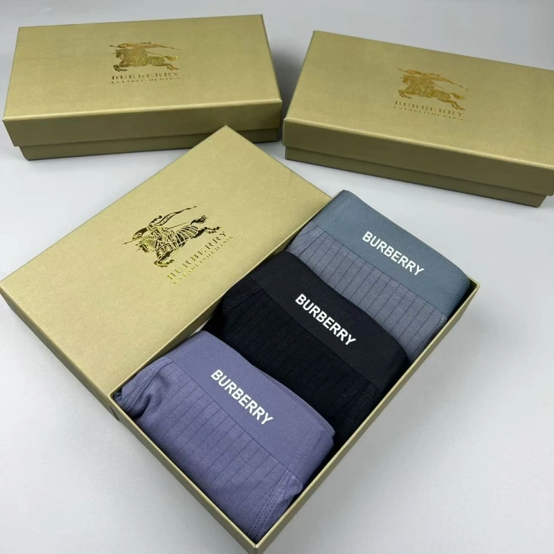 Burberry Underwear Tailored 276693
