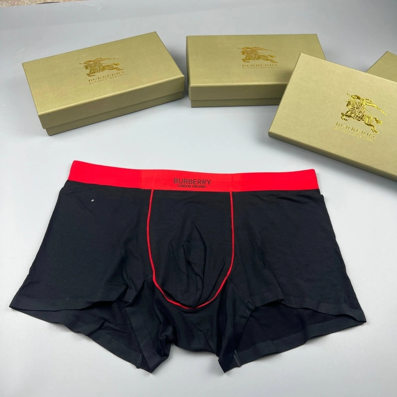 Burberry Underwear TimelessDesign 276684