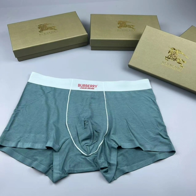 Burberry Underwear TimelessDesign 276684