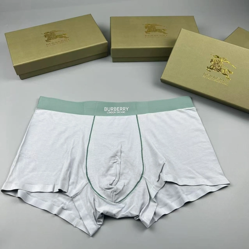 Burberry Underwear TimelessDesign 276684
