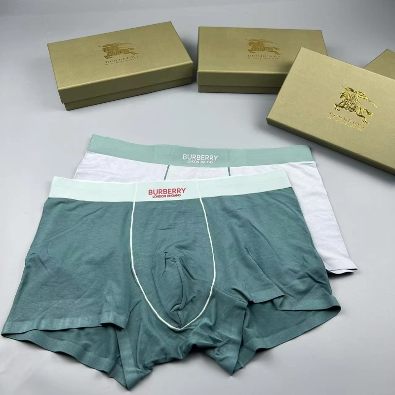 Burberry Underwear TimelessDesign 276684