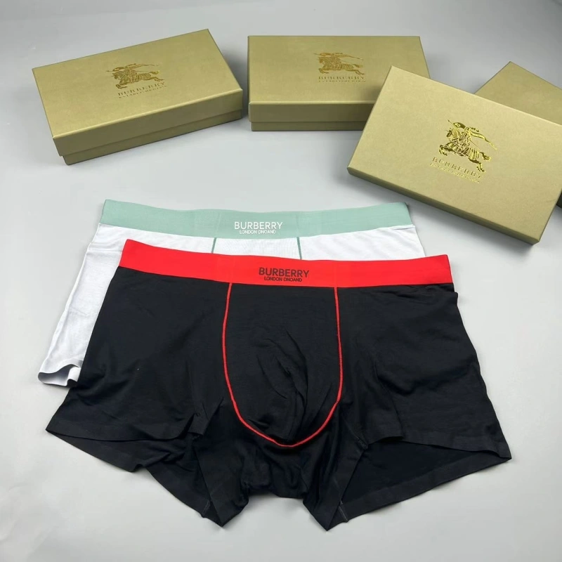 Burberry Underwear TimelessDesign 276684