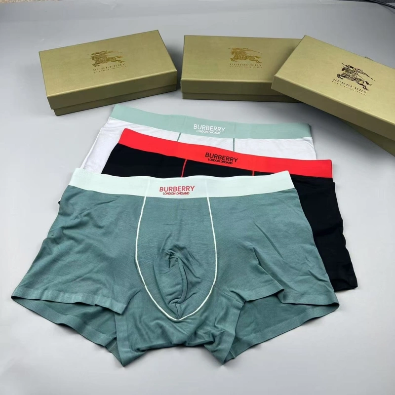 Burberry Underwear TimelessDesign 276684