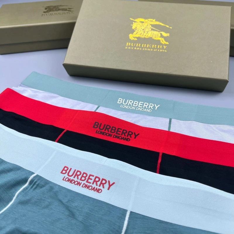 Burberry Underwear TimelessDesign 276684