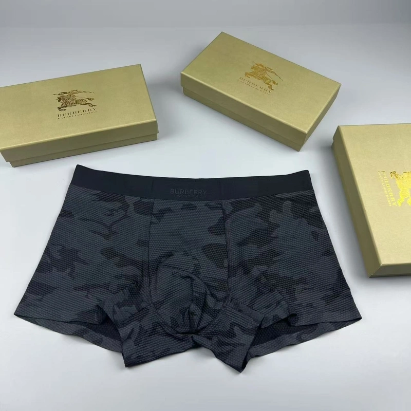 SmartChoice Burberry Underwear 276702