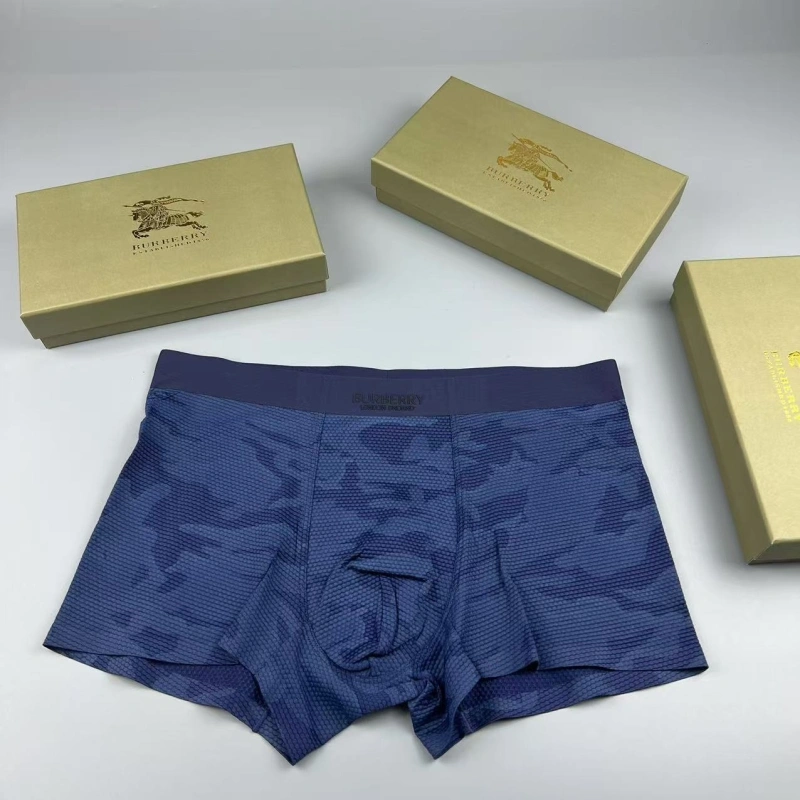 SmartChoice Burberry Underwear 276702