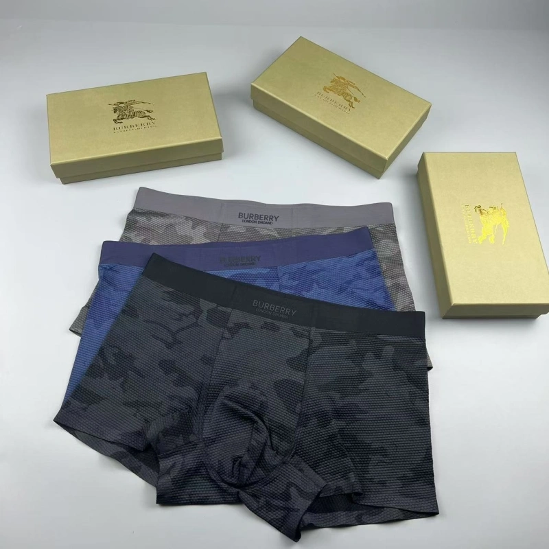 SmartChoice Burberry Underwear 276702
