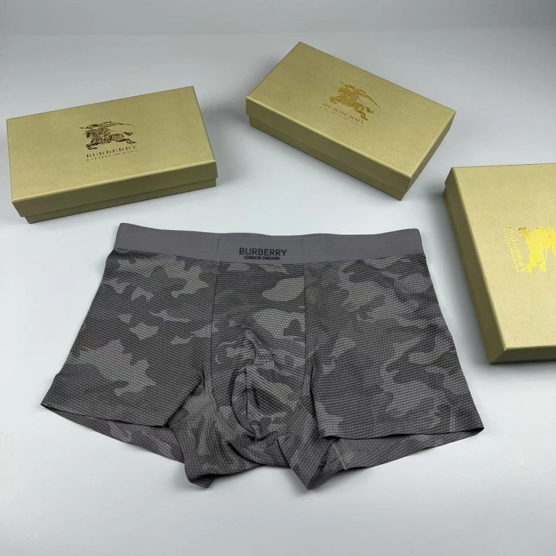 SmartChoice Burberry Underwear 276702