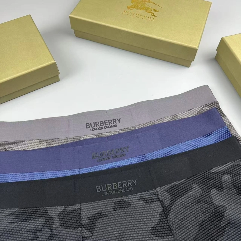 SmartChoice Burberry Underwear 276702