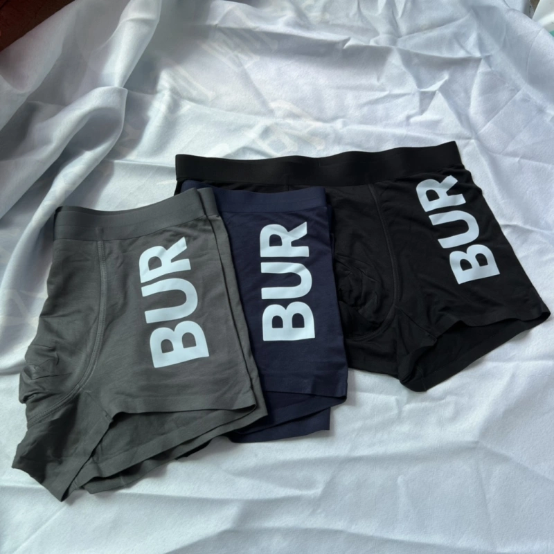 OdorResistant Burberry Underwear 276532
