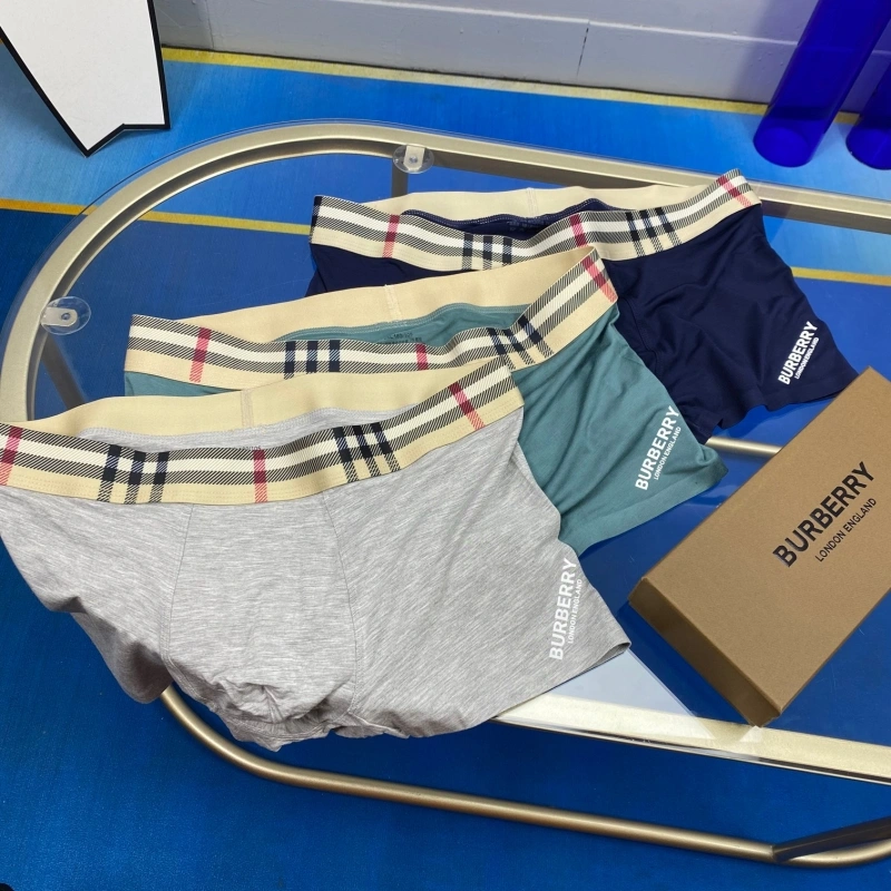 ZeroBulk Burberry Underwear 276529