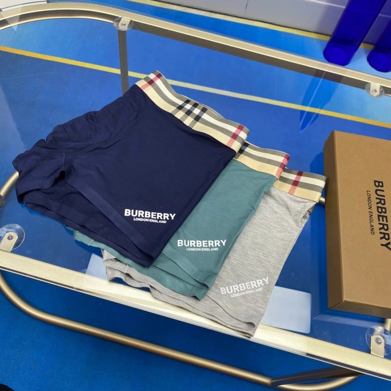 ZeroBulk Burberry Underwear 276529