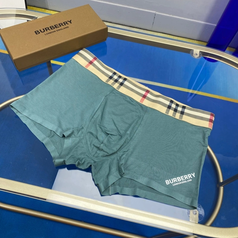 ZeroBulk Burberry Underwear 276529