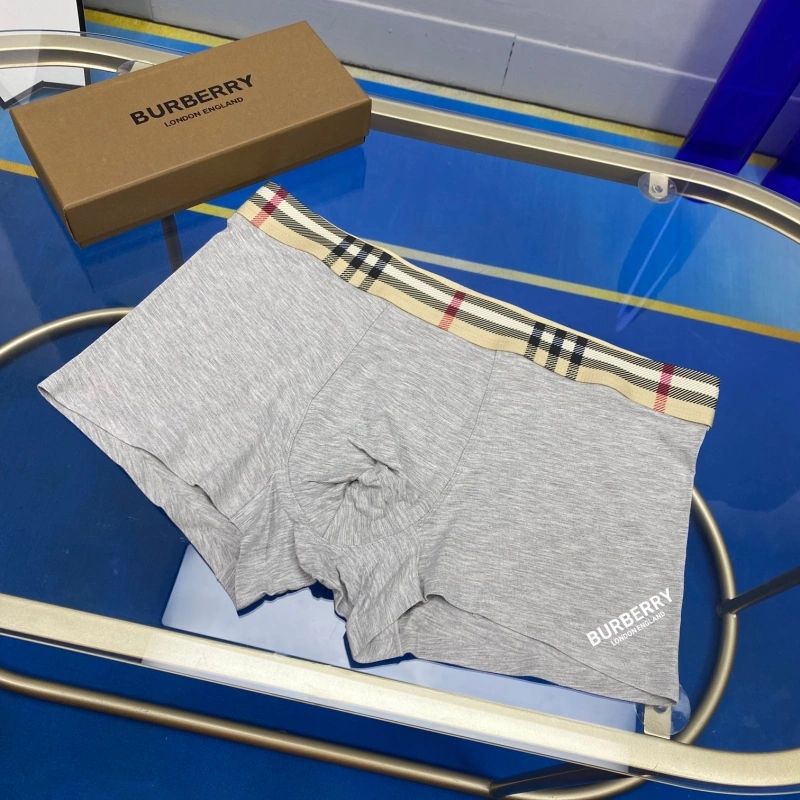 ZeroBulk Burberry Underwear 276529