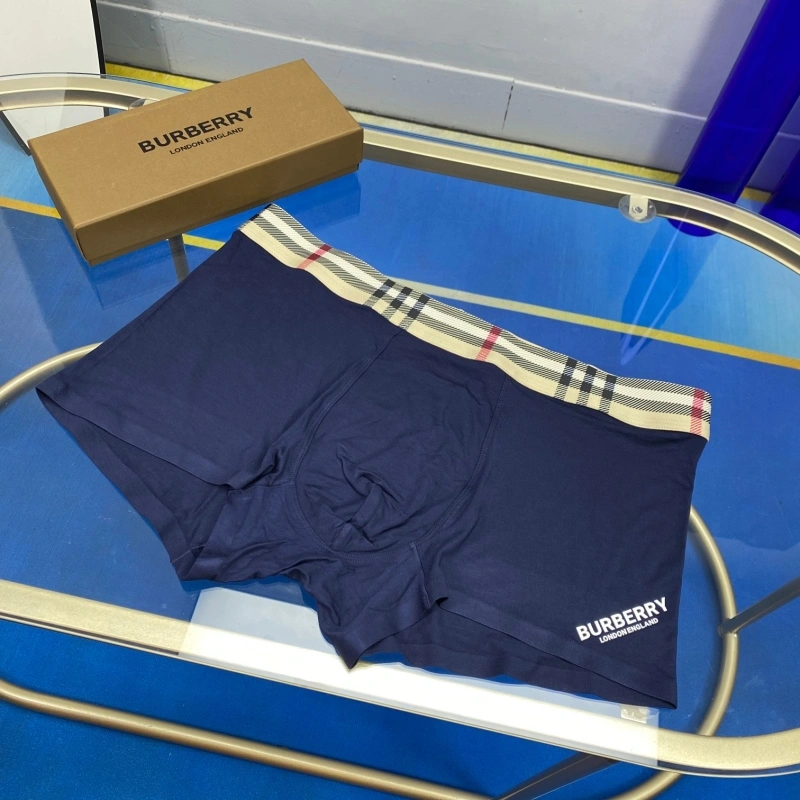 ZeroBulk Burberry Underwear 276529