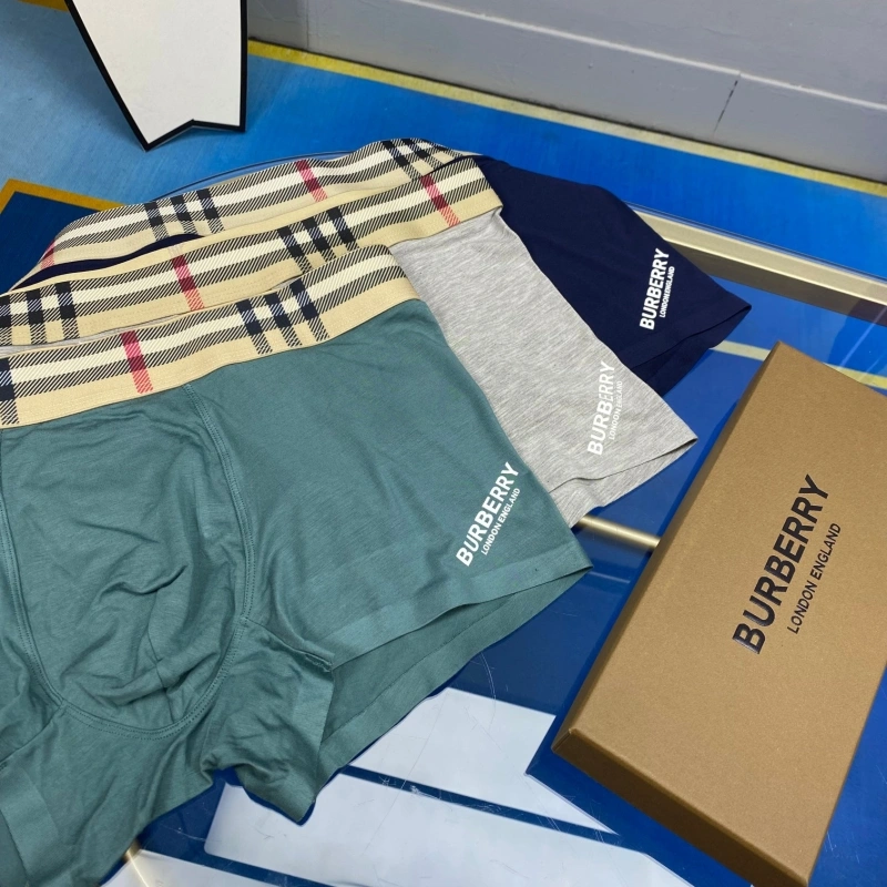 ZeroBulk Burberry Underwear 276529