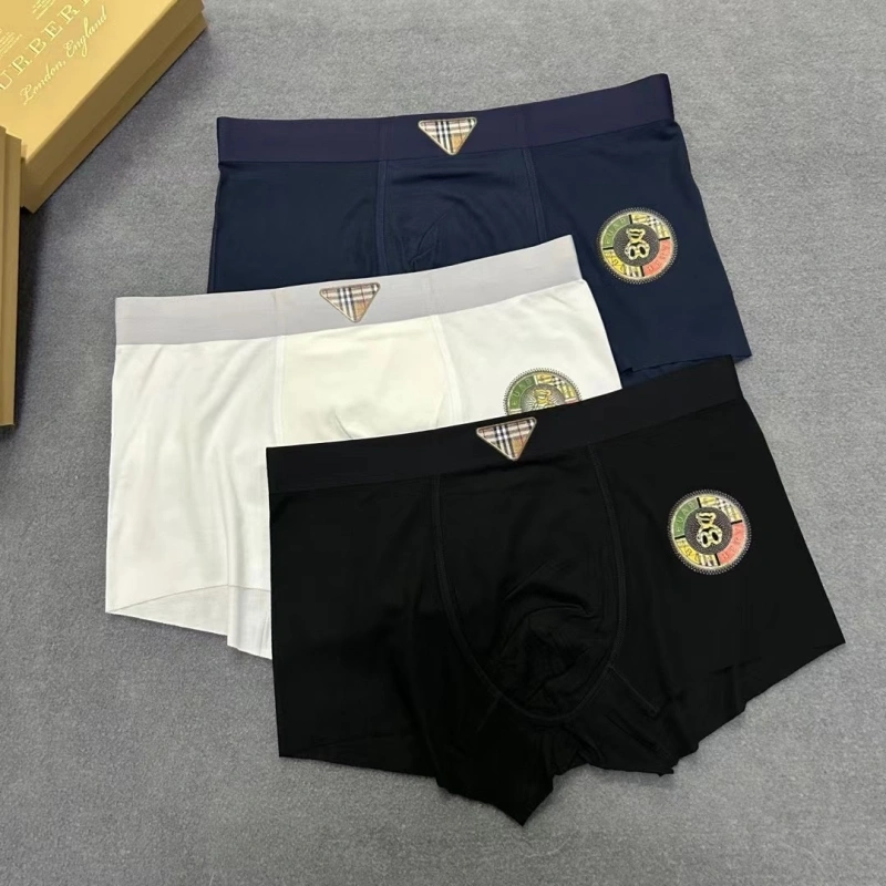 Effortless Burberry Underwear 276525