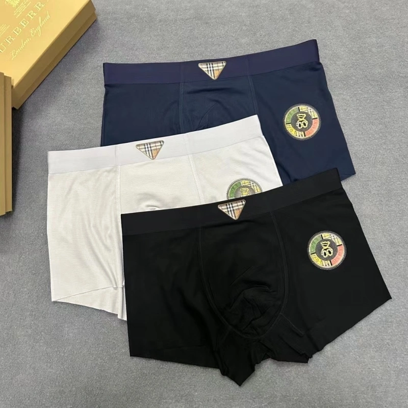 Effortless Burberry Underwear 276525