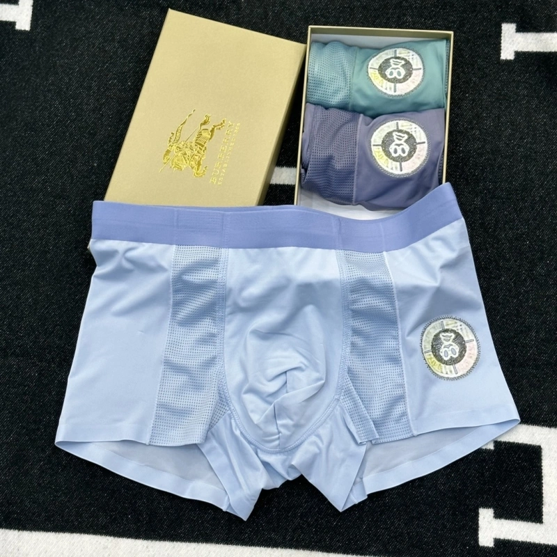 MultiPurpose Burberry Underwear 276518