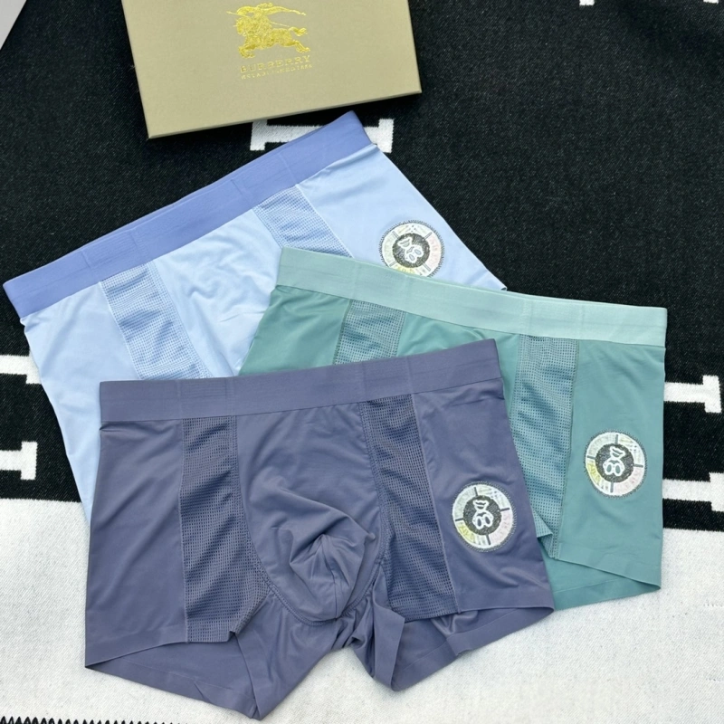 MultiPurpose Burberry Underwear 276518