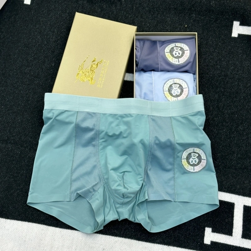 MultiPurpose Burberry Underwear 276518
