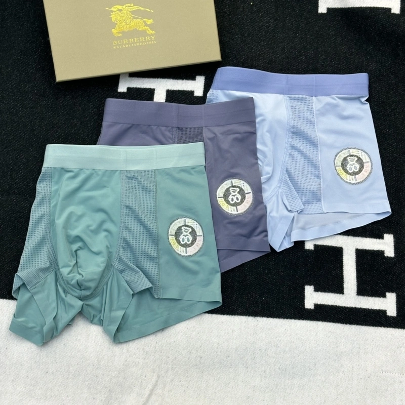 MultiPurpose Burberry Underwear 276518