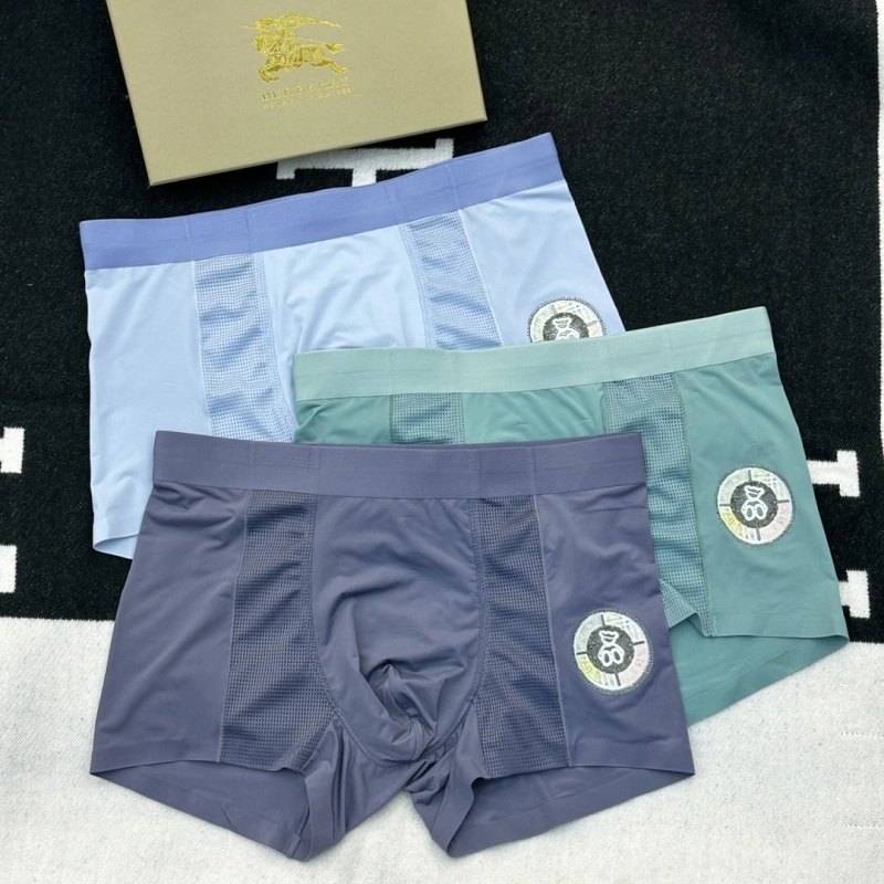 MultiPurpose Burberry Underwear 276518