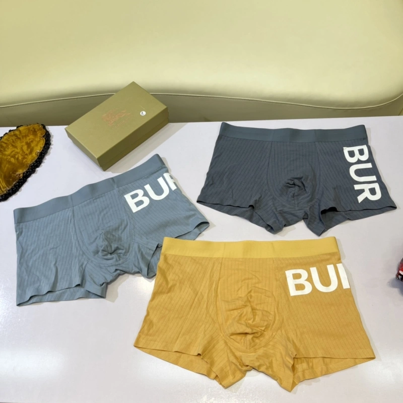 Burberry Underwear HighPerformance 276524