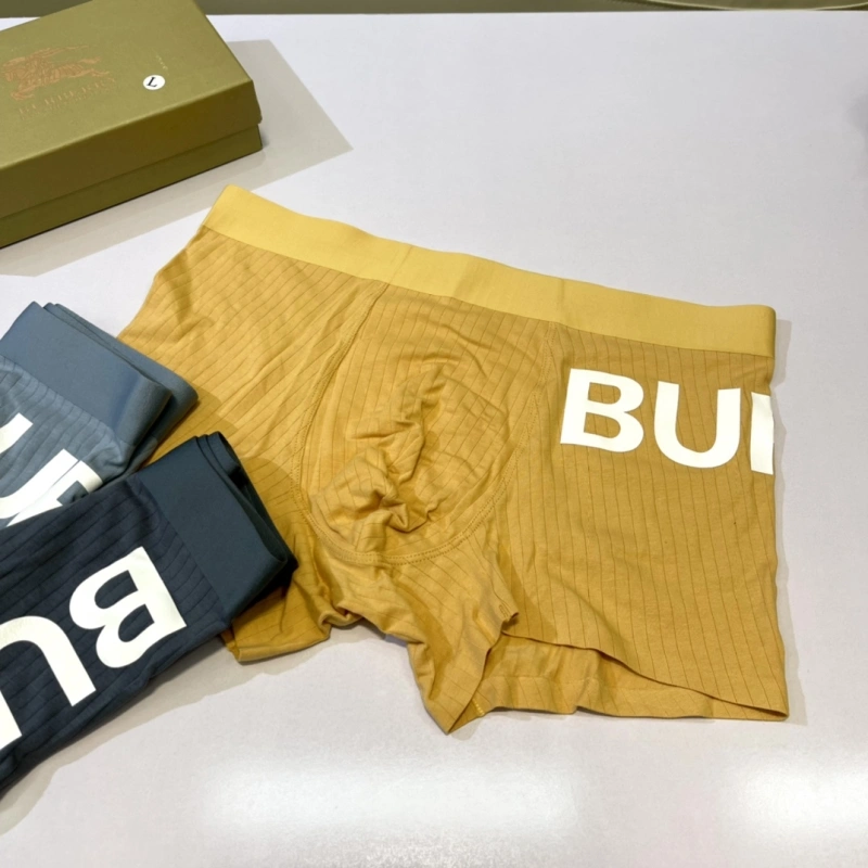 Burberry Underwear HighPerformance 276524
