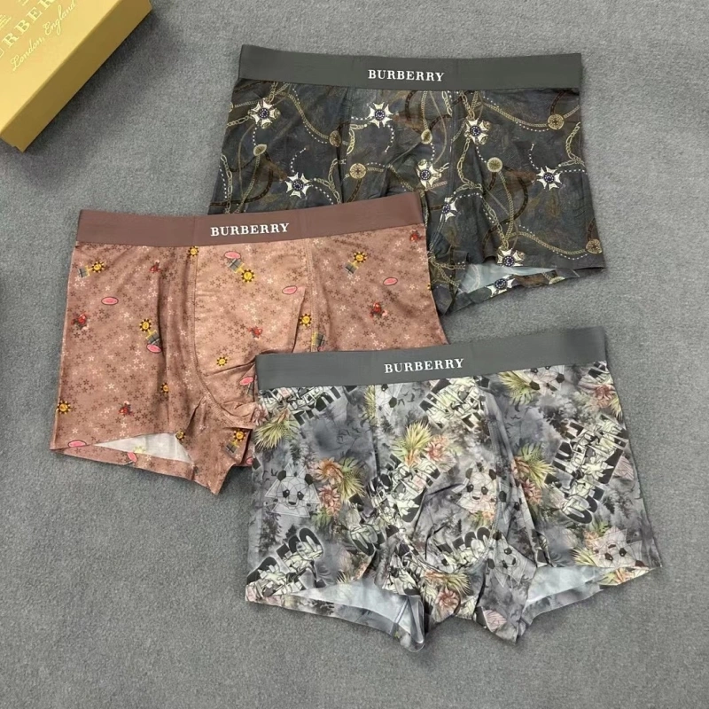 Practical Burberry Underwear 276507