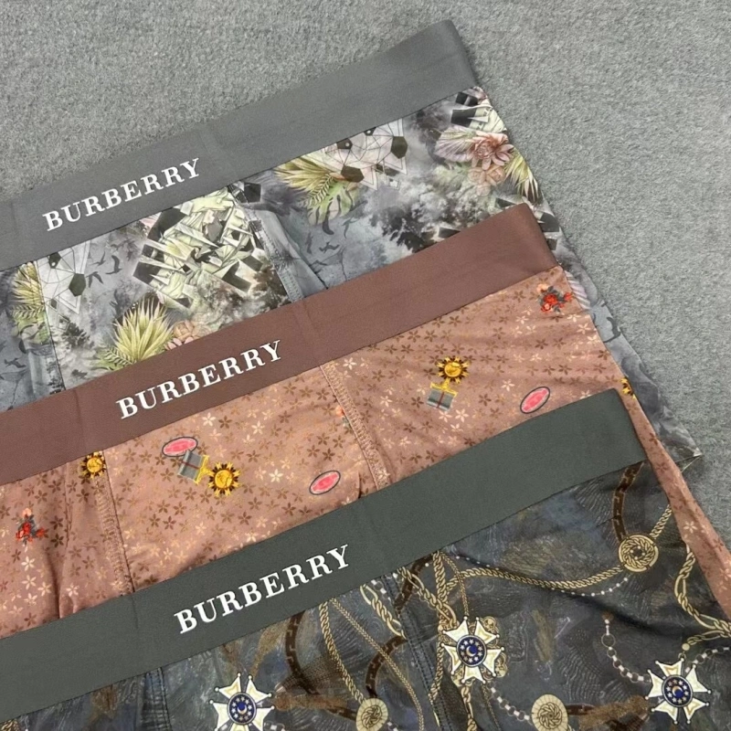 Practical Burberry Underwear 276507