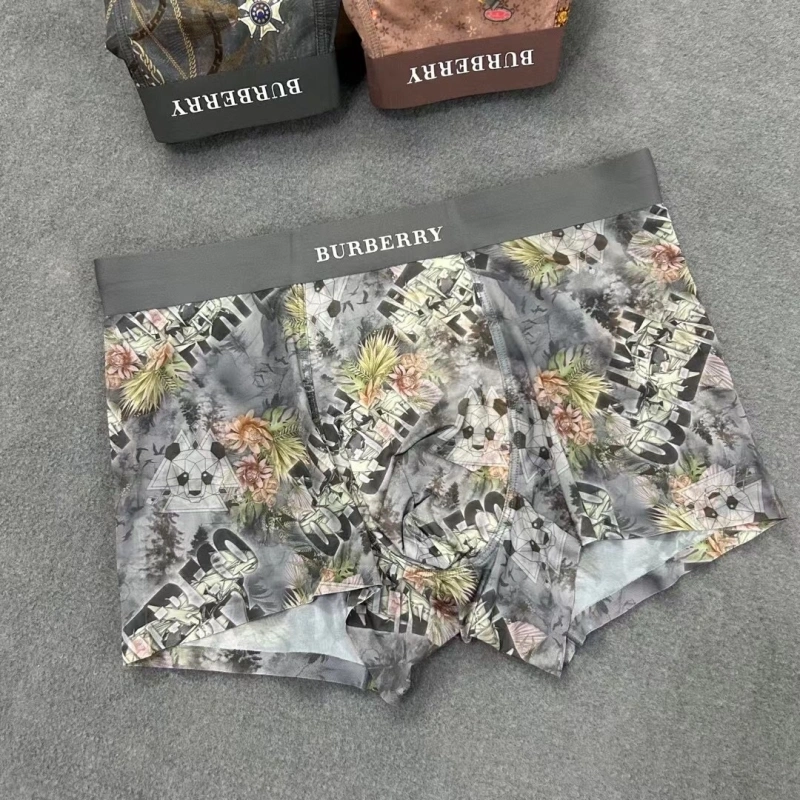 Practical Burberry Underwear 276507
