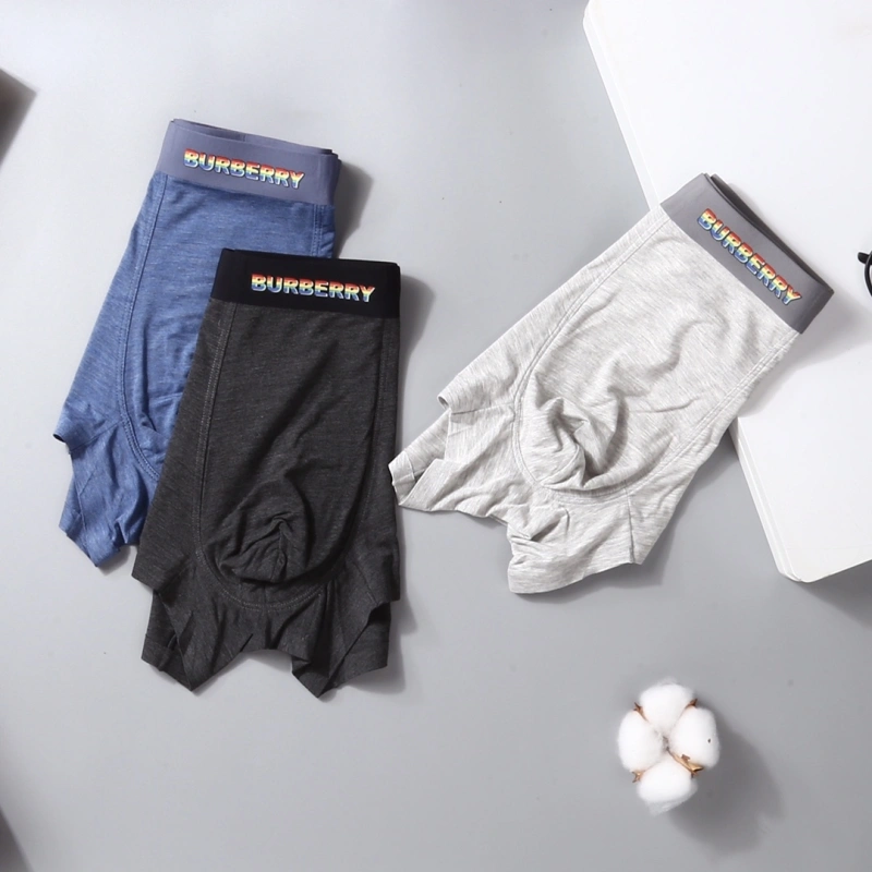 Thermal Burberry Underwear 276517
