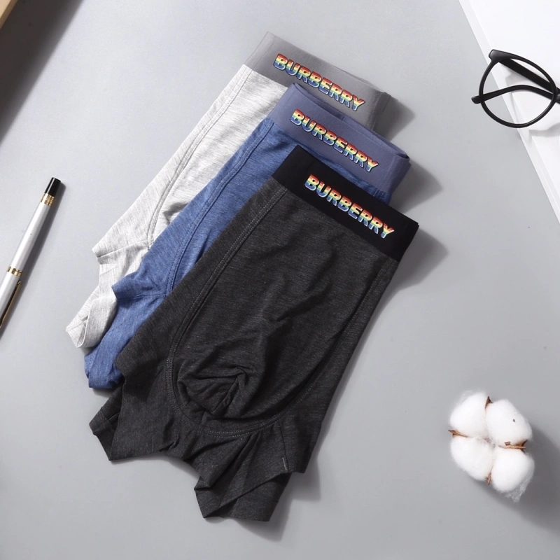 Thermal Burberry Underwear 276517