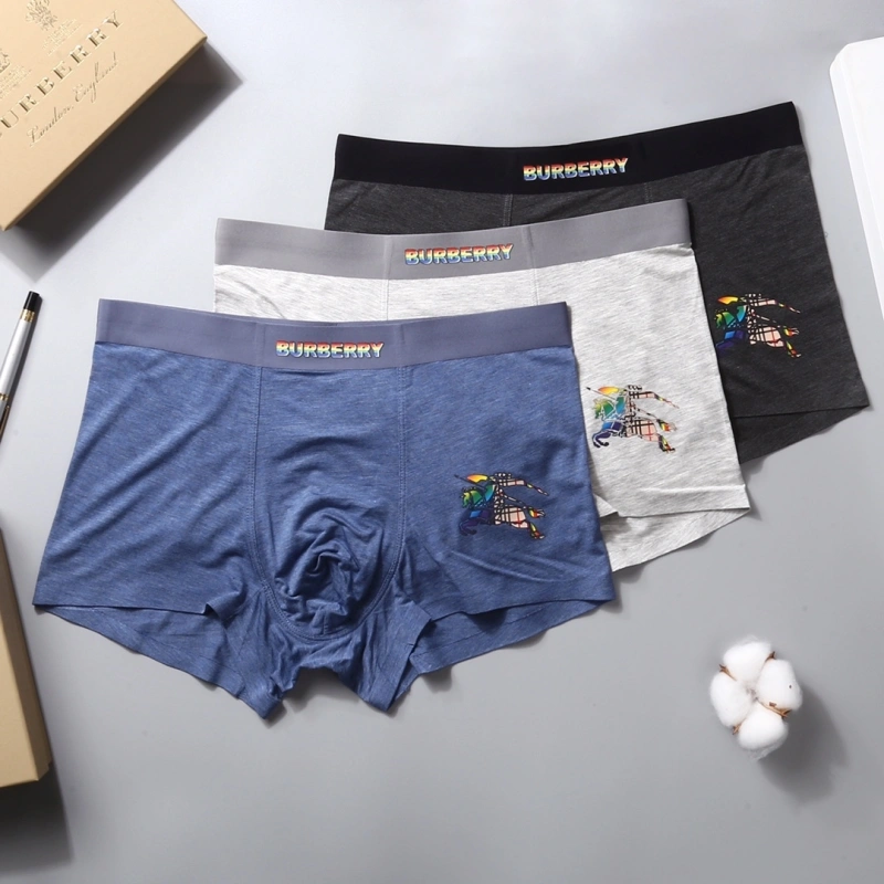 Thermal Burberry Underwear 276517