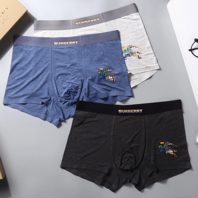 Thermal Burberry Underwear 276517