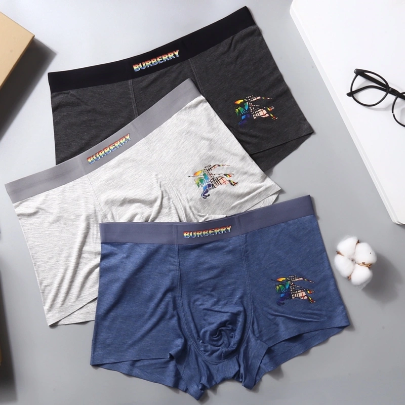 Thermal Burberry Underwear 276517