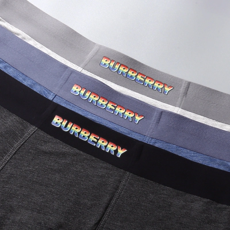 Thermal Burberry Underwear 276517