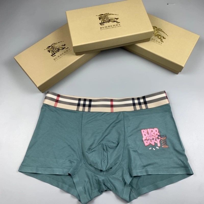Burberry Underwear Vibrant 276513