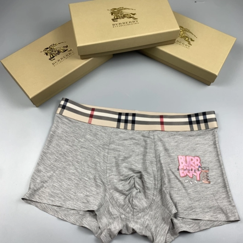 Burberry Underwear Vibrant 276513