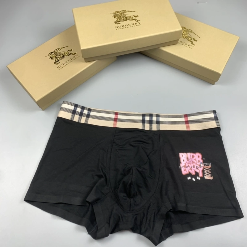 Burberry Underwear Vibrant 276513